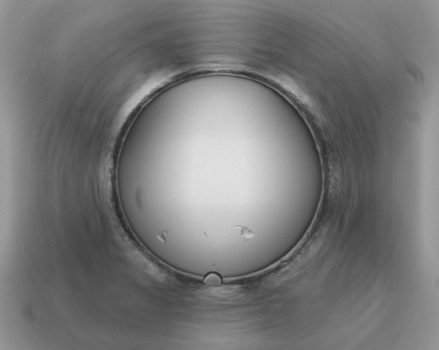 X0000115051325200911091417