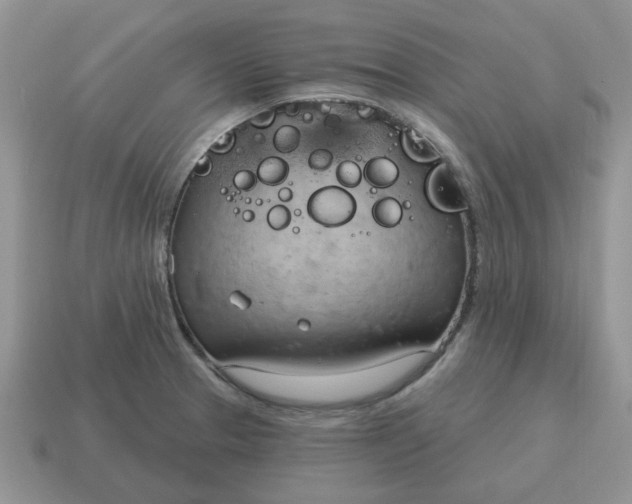X0000115051329200911091417