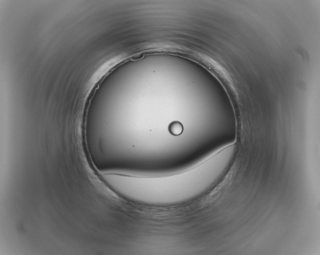 X0000115051330200911091417