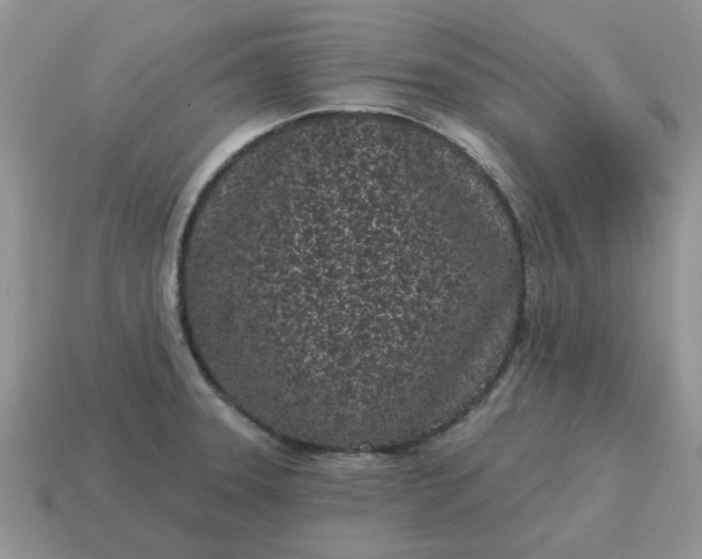 X0000115051331200911091417