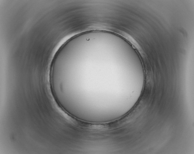 X0000115051339200911091417