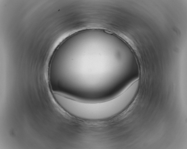 X0000115051342200911091417
