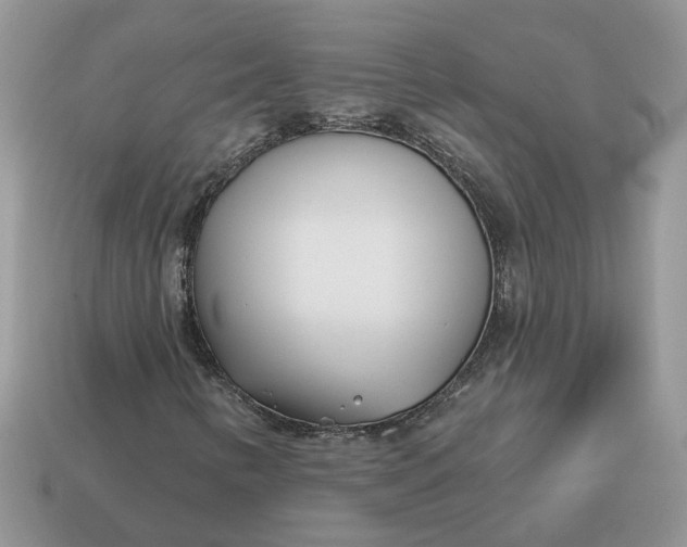 X0000115051346200911091417