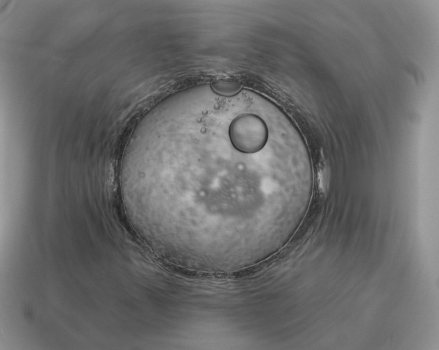 X0000115051347200911091417