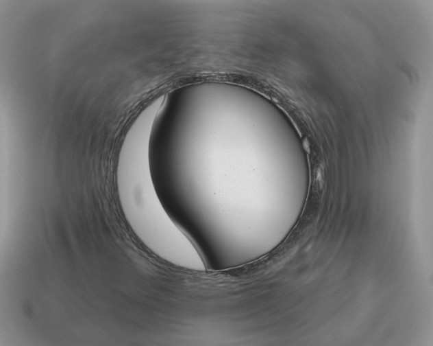 X0000115051348200911091417