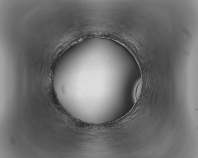 X0000115051349200911091417