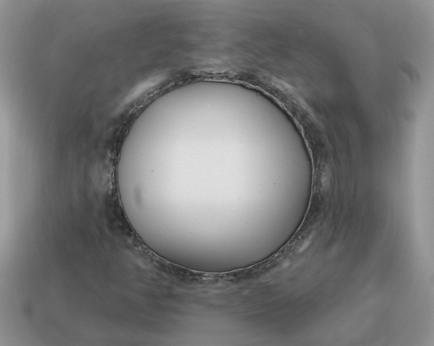 X0000115051350200911091417