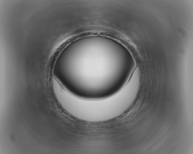 X0000115051352200911091417