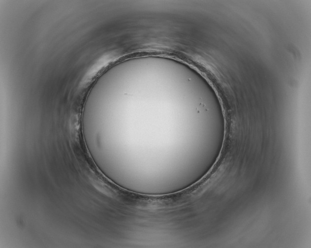 X0000115051355200911091417