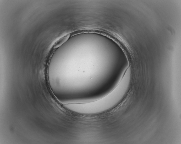X0000115051356200911091417