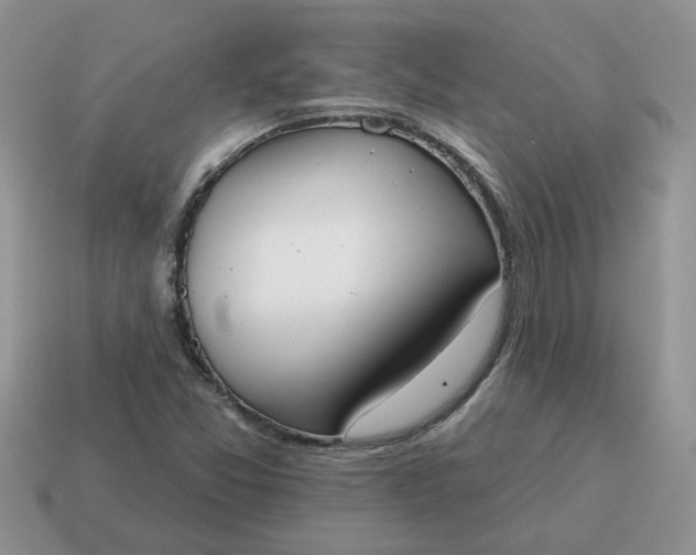 X0000115051357200911091417