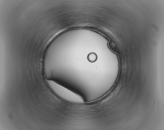 X0000115051361200911091416