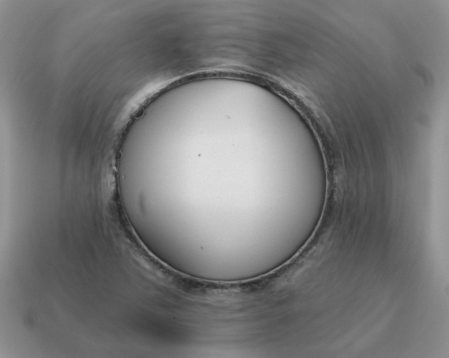X0000115051363200911091416