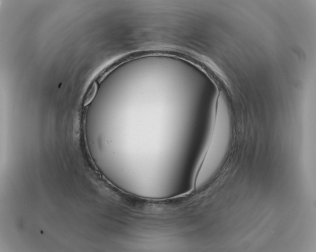X0000115051364200911091416