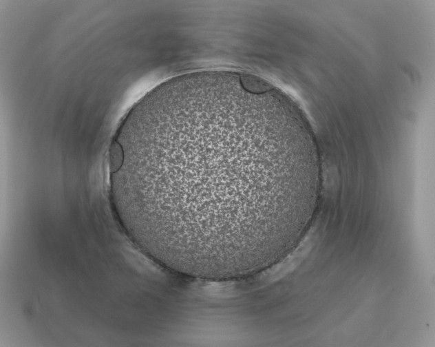 X0000115051365200911091416