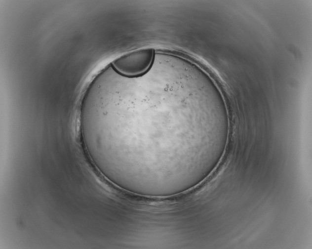 X0000115051367200911091416