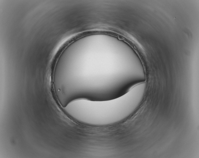 X0000115051368200911091416