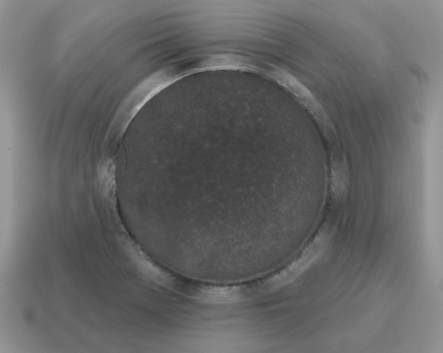 X0000115051369200911091416