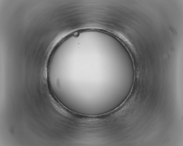 X0000115051372200911091416