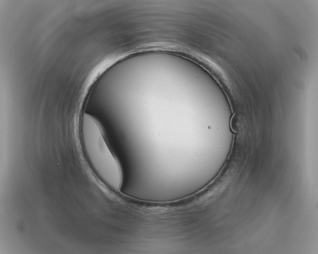 X0000115051373200911091416