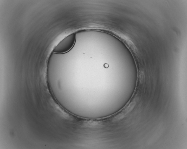 X0000115051374200911091416