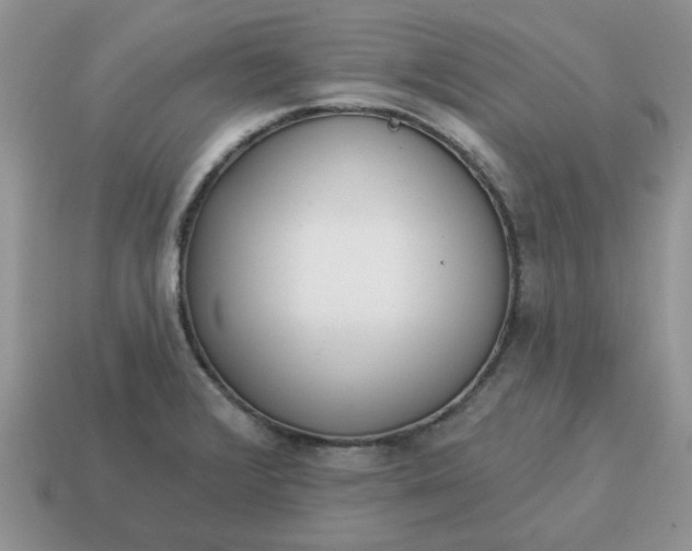 X0000115051376200911091416
