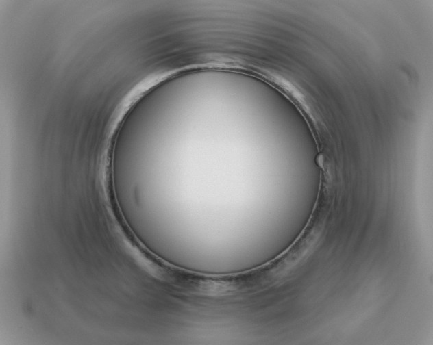 X0000115051379200911091416