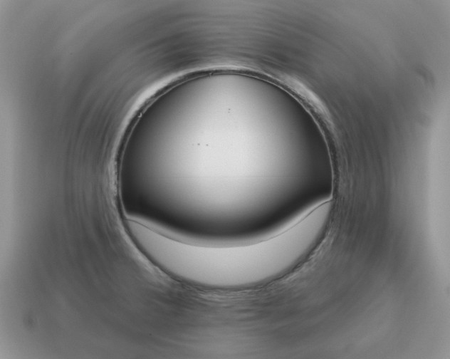 X0000115051380200911091416