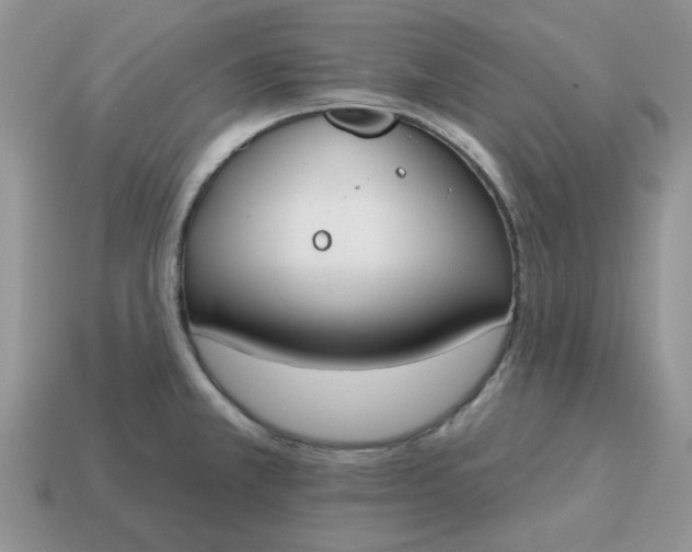 X0000115051381200911091416