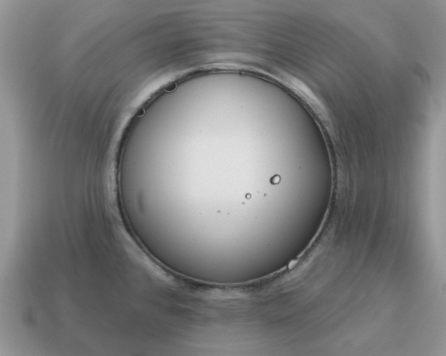 X0000115051384200911091416