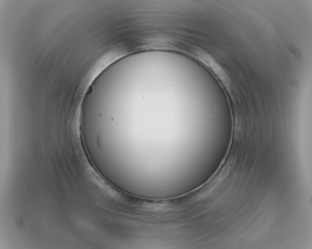 X0000115051386200911091416