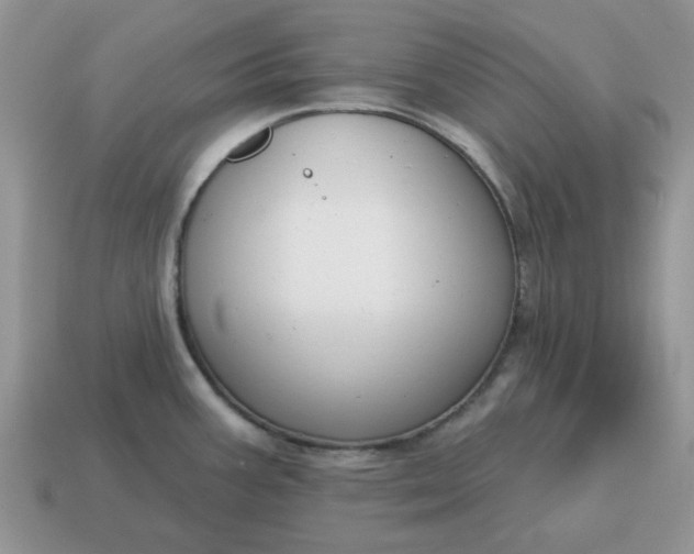 X0000115051387200911091416