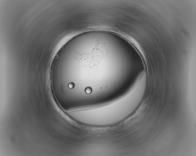 X0000115051389200911091416