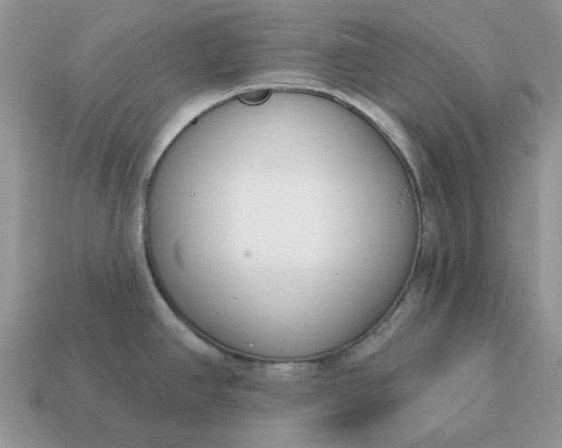 X0000115051390200911091416