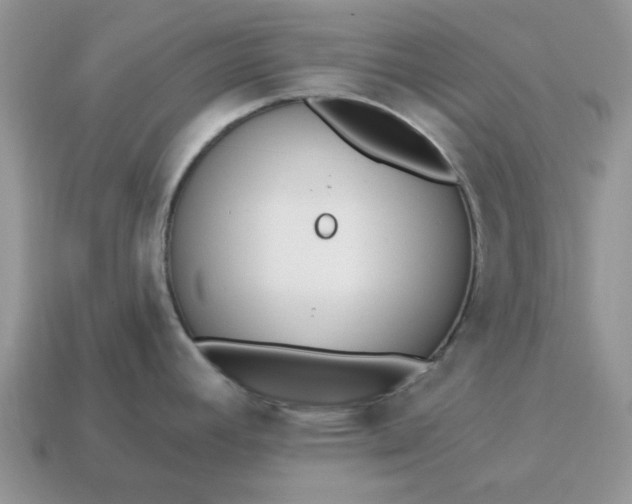 X0000115051392200911091416