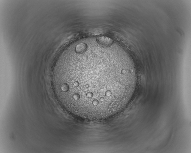 X0000115051393200911091415