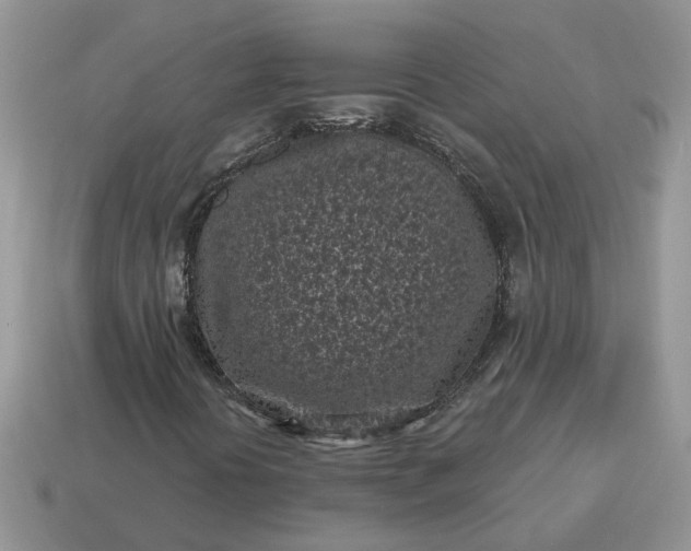 X0000115051394200911091415