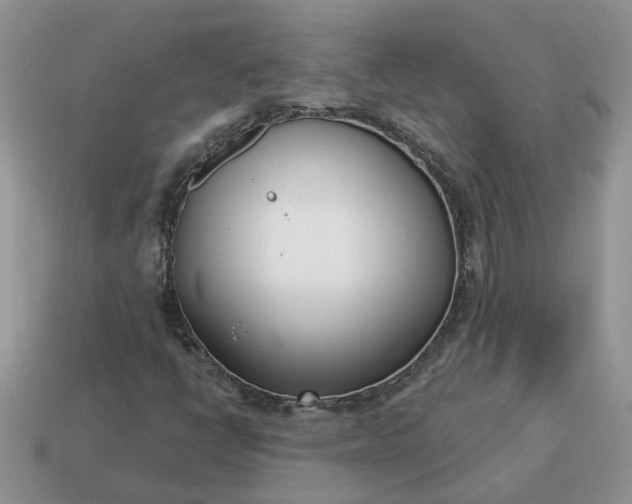 X0000115051398200911091416