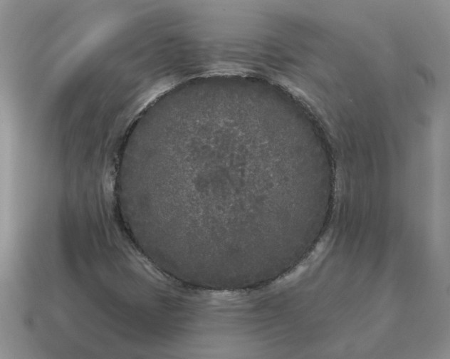 X0000115051401200911091416