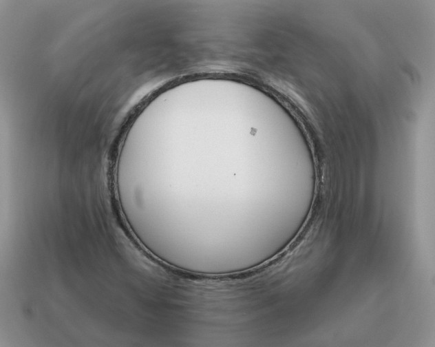 X0000115051404200911091416