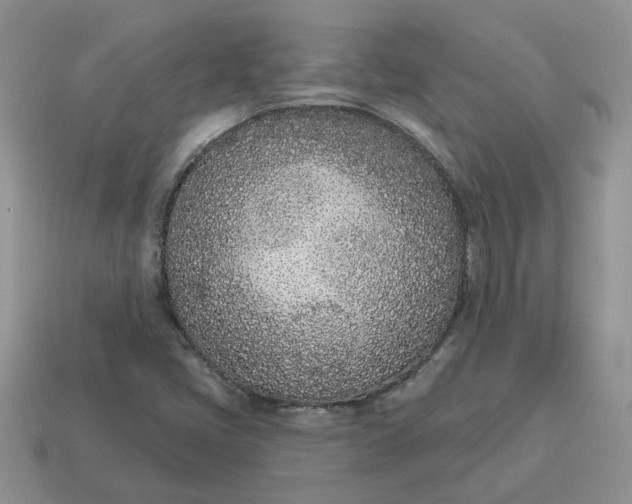 X0000115051405200911091416