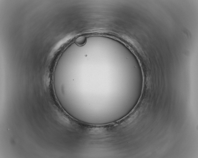 X0000115051406200911091416