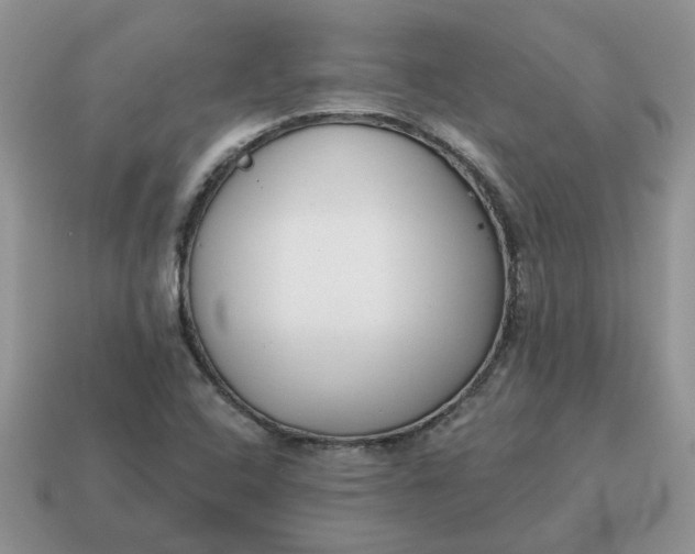 X0000115051408200911091416