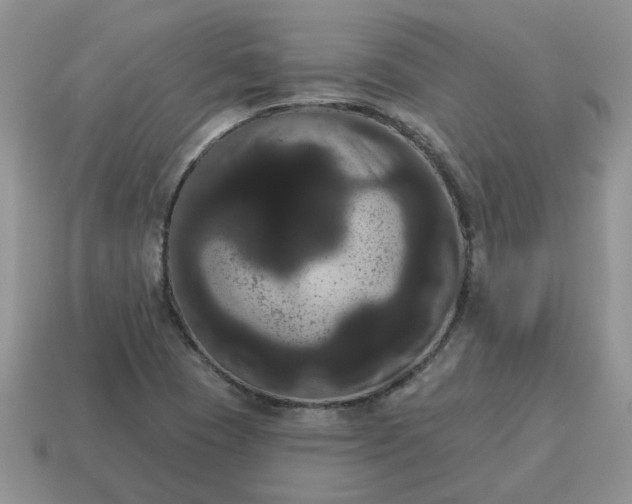 X0000115051409200911091416