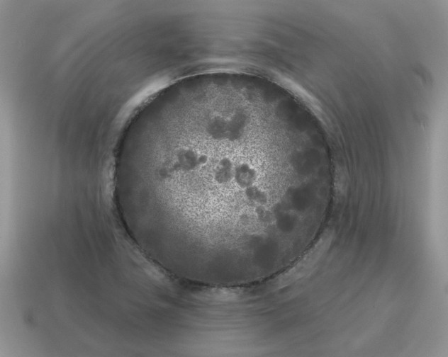 X0000115051411200911091416