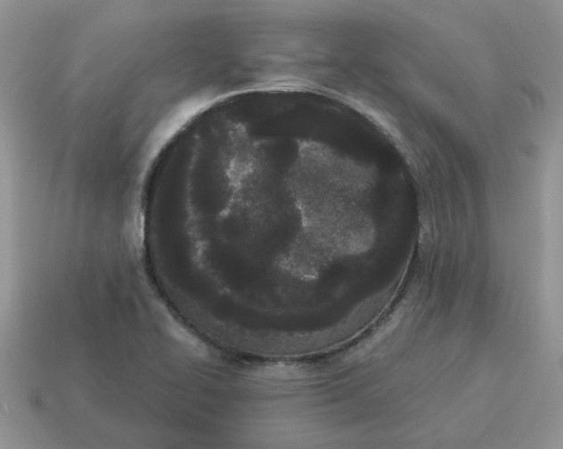 X0000115051414200911091416