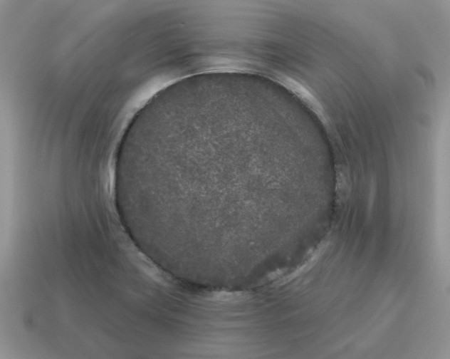X0000115051419200911091416