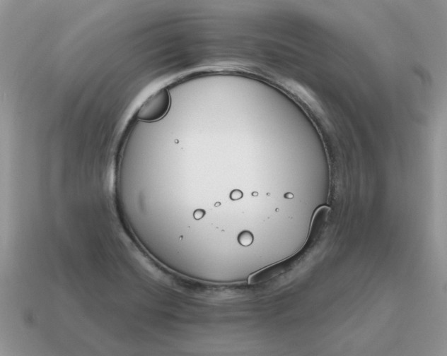 X0000115051420200911091416