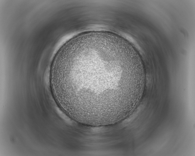 X0000115051421200911091416