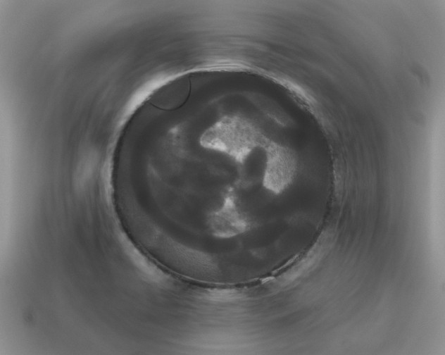 X0000115051422200911091416
